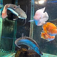 5月26号大姨妈，6月15号才启动准备二胎，6月和老公同房2次😂🤣想着会中奖了，谁知道大姨妈真的是一...