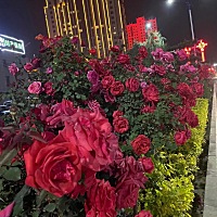 六月16号同房的，今天有没有测出怀孕的？