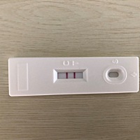 月经推迟2天，一试便是强阳性，打算怀孕的姐妹们接好孕吧！
