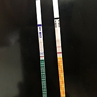 上次月经5月28号，6月23号去医院验血没有怀孕，一直没来月经，排卵试纸一直强阳，7月4日同房，两天后用...
