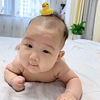 数鸭子123456