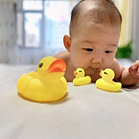 数鸭子，数一数24678