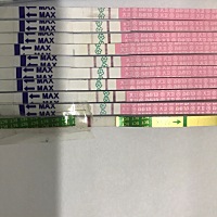 请大家帮忙看一下，照片中的最后一条验孕试纸，有希望吗？