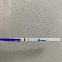 每个月23号来例假，6月例假没来，月初测了三次都是一条杠，今天下午测是一深一浅，这是中奖了吗？？？？...