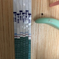 上个月21号月经来着 ，体外一次   着急害怕 姐妹们看一下有没有怀孕 从13号开始测试的😭😭😭
