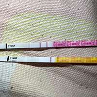 预测26好姨妈，我到底怀没怀孕，真上火