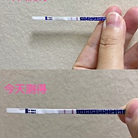 7月27日是来姨妈的日子，但是今天排卵试纸两条杠比昨天更明显了，月经一直很规律准时准点。那这个情况是...