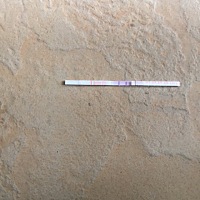 是不是马上排卵啦！这种情况几率高吗？