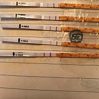 这最后一个应该就是强阳了吧