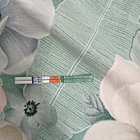 怎么回事，都眼花了