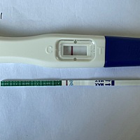 有没有人能和我一样看到一点点意念灰，还是我眼花了！