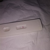 这个是怀孕了么？？？？？😳