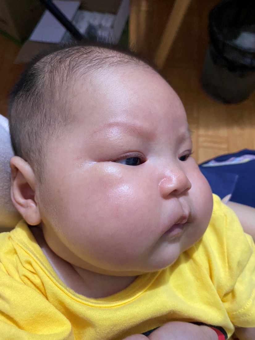 两个半月了