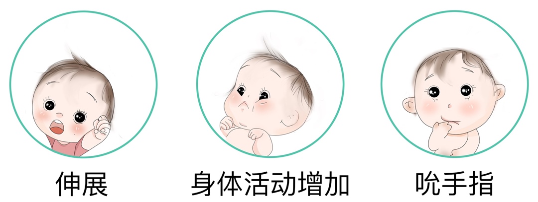 有明显的觅食动作，稍稍有点不安。
中期表现
如果早期表现没有被发现，宝宝可能就会有点不高兴了。
进入到中期，宝宝会吮吸手指，身体的动作会变多，比如用力拉扯妈妈的衣服、往妈妈胸口寻找乳头、发出哼哼唧唧的声音等。