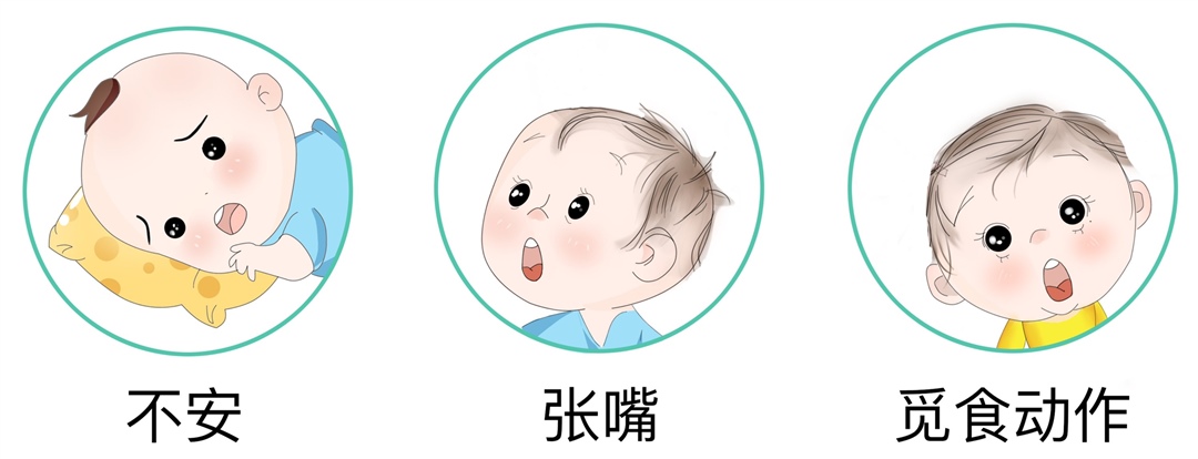 早期表现
宝宝刚开始想吃奶的时候，会张开嘴巴，舔舔嘴唇，有明显的觅食动作，稍稍有点不安。