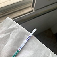软件显示4号排卵期，近期总有一种奇怪的感觉，今天睡醒抱着好奇的心试了一下，这是有了吗。。。我这个月...