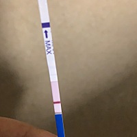 7月11来的末次月经，到今天还没有来，测了几次都是一条杠，刚刚又测了一条杠，是不是没有怀孕？那怎么不...