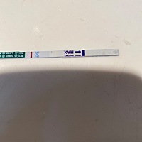 14号排卵还是没有怀上