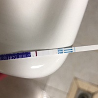 这是一条还是两条，眼花了😵‍💫
