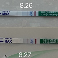 请教各位姐妹们，想问一下我这是有了嘛，应该24号来月经，结果一直没来，26号早晨测的早孕试纸是意念灰...