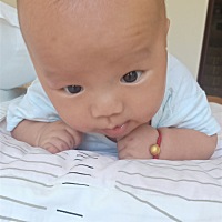 四个月了，才慢慢的抬头，是不是拖后腿了呢