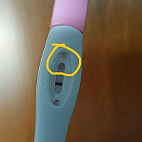 想知道是不是怀了