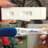 末次月经8月17～8月22结束，排卵期是31号，有同房，后面9月十一，十二，十三号测出来都是双杠，几个牌子...