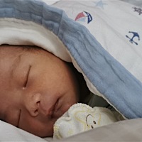 小毛毛睡得真香！超级听话！