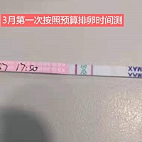 特别激动，7月4号末次月经，21号排卵，21号22号同房，排卵同房后第三天我家那位就天天催我测早孕了，他...