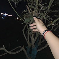 宝贝快来找妈妈跟爸爸，你哥哥想要个妹妹😂