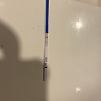 这个是有了，还是没有