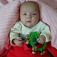 两个多月的小可爱
