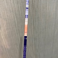 试纸是后，用眼影就有显示两条杠，不用就是白板，有用过这种方法的吗？是准的吗