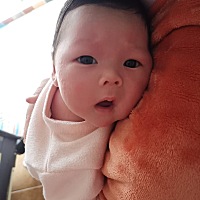 今天第26天，睡觉时间缩短一点，要哄了才睡。