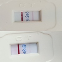 上面是今天早上测的，下面是27号测的，应该可以确定怀孕了吧