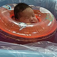 同上同上同上