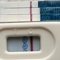 看不懂这是一条还是算两条啊？有没有怀孕啊？