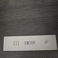 是不是两条杠