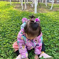 小草对不起🧎‍♂️让你们受苦了🤪