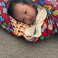 剖腹产在医院给宝宝吸了几次母乳吃了就吐，也没多少奶喂完还得奶粉喂，后来老公觉得麻烦直接冲奶粉，后...
