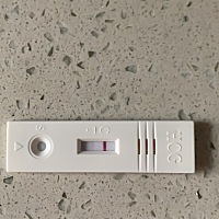 各位亲 我是十月六日末次月经 每天检测排卵 十一月二日才排卵 然后同房 十一月十八日去医院验尿说没有怀...