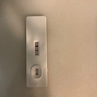 二胎真的来了吗