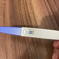 是我的虎宝宝来了嘛