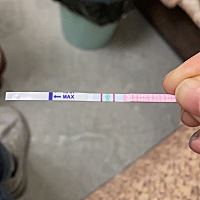 怀孕会强阳吗？强阳是不是证明强阳之前都没怀上？ 今天测出来强阳了，是不是要立马同房了？