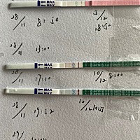 今天是排卵后第9天，用大卫早孕试纸测了两次都有一点点淡淡的粉色，不晓得是不是中了！