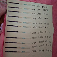 我又怀上了
