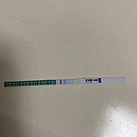 这是怀孕了吗？