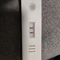 一早又测了一下，祝大家一起接好孕哦