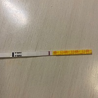 2022继续备孕