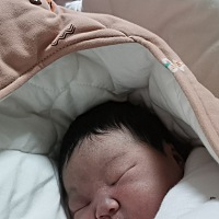 你们家白天晚上都贼闹腾吗